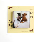 Custom Acrylic Pet Fridge Magnets