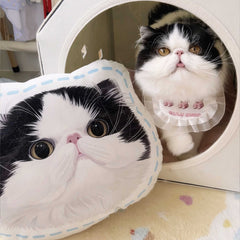 Custom Pet Portrait Shaped Pillow - MusaMonster