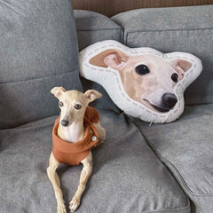 Custom Pet Portrait Shaped Pillow - MusaMonster