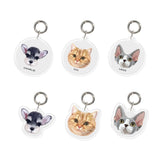 Custom Pet Tags & Keychains - MusaMonster