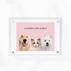 Premium Acrylic Frame Custom Pet Portrait for Three Pets - MusaMonster