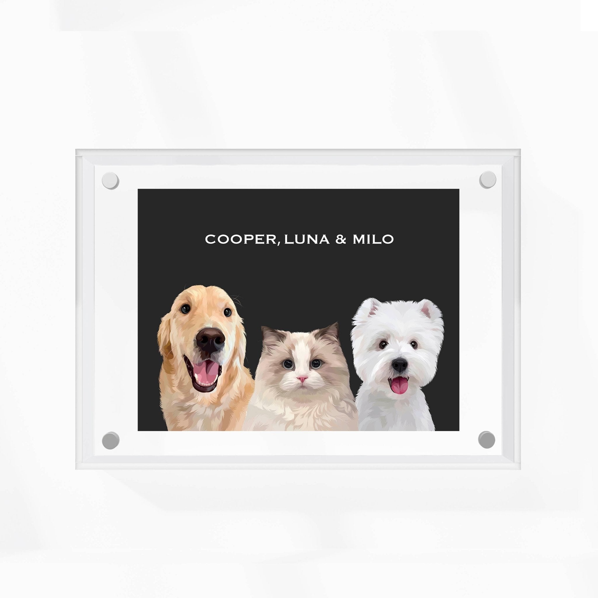 Premium Acrylic Frame Custom Pet Portrait for Three Pets - MusaMonster