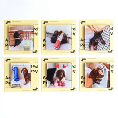 Custom Acrylic Pet Fridge Magnets