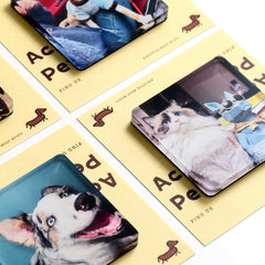 Custom Acrylic Pet Fridge Magnets