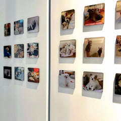 Custom Acrylic Pet Fridge Magnets