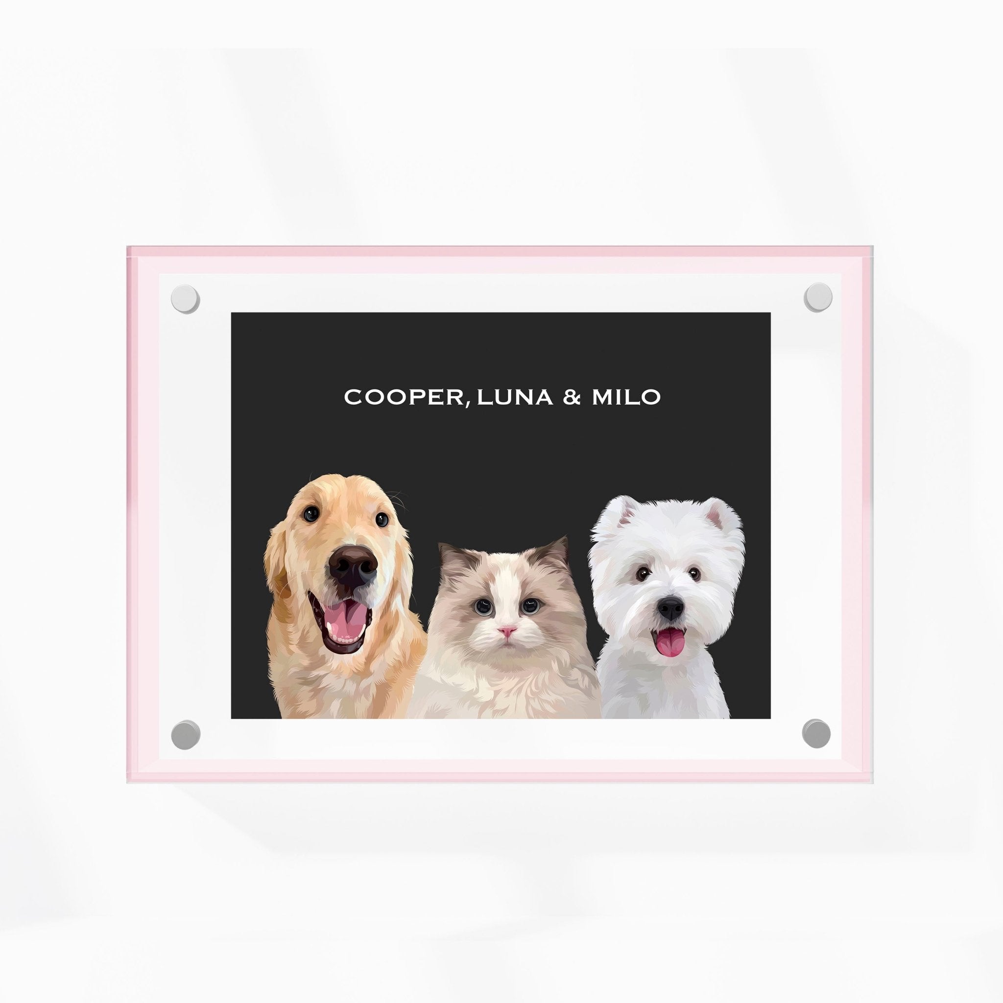 Premium Acrylic Frame Custom Pet Portrait for Three Pets - MusaMonster
