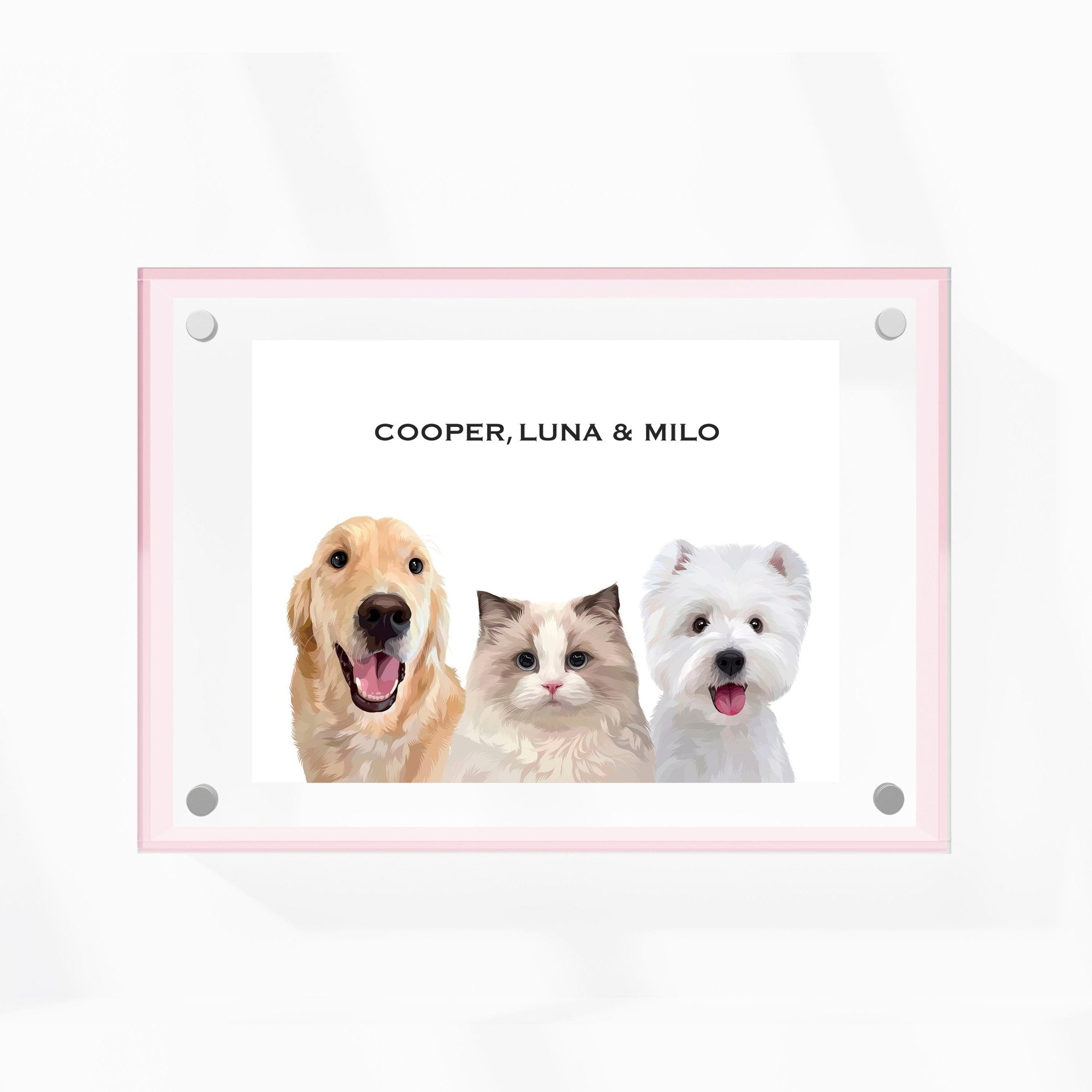 Premium Acrylic Frame Custom Pet Portrait for Three Pets - MusaMonster
